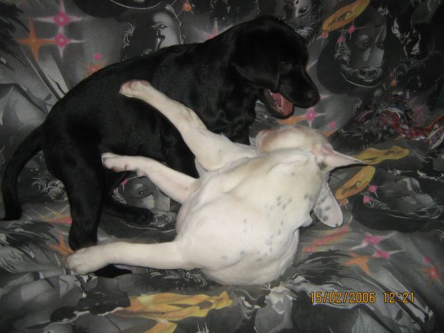 Appollo et Appy Appollo et Appy