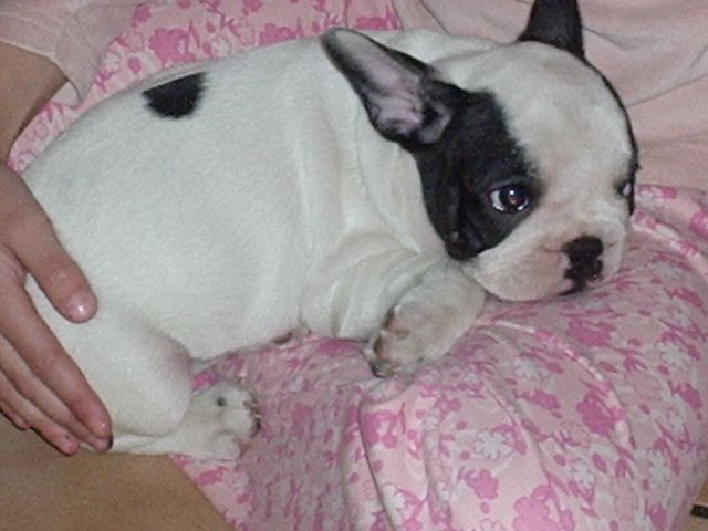 Arrivée à la maison Arrivée à la maison