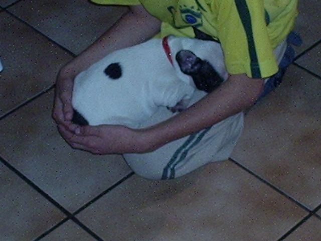 Calinoux avec Jojolacastagne