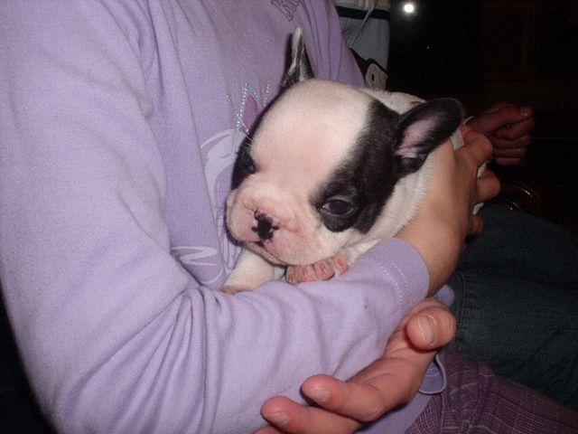 Dans les bras de Manon