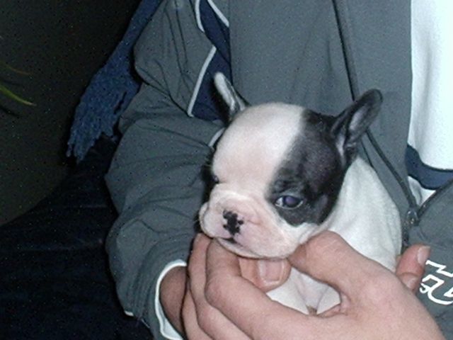 Dans les bras de mon maître