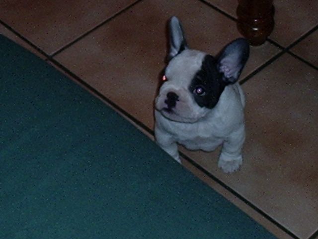 Ils vont bien céder!