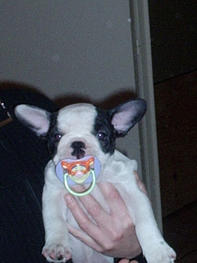 J'ai été pris en flagrant délis