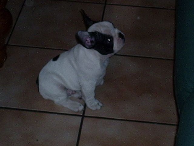 Je monterais bien sur le canapé