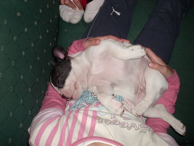 Je suis un vrai bb qui sait y faire Je suis un vrai bb qui sait y faire