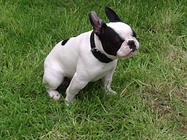 mmm_quelle_regale_l_herbe mmm_quelle_regale_l_herbe