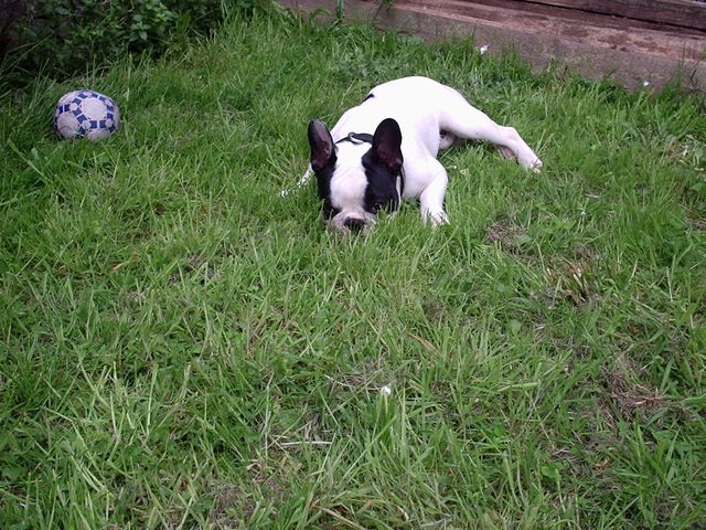 operation_ni_vu_ni_connu_j_t_embrouille operation_ni_vu_ni_connu_j_t_embrouille