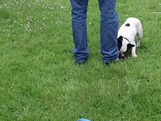 popa_refais_ton_lacet_tu_vas_tomber popa_refais_ton_lacet_tu_vas_tomber