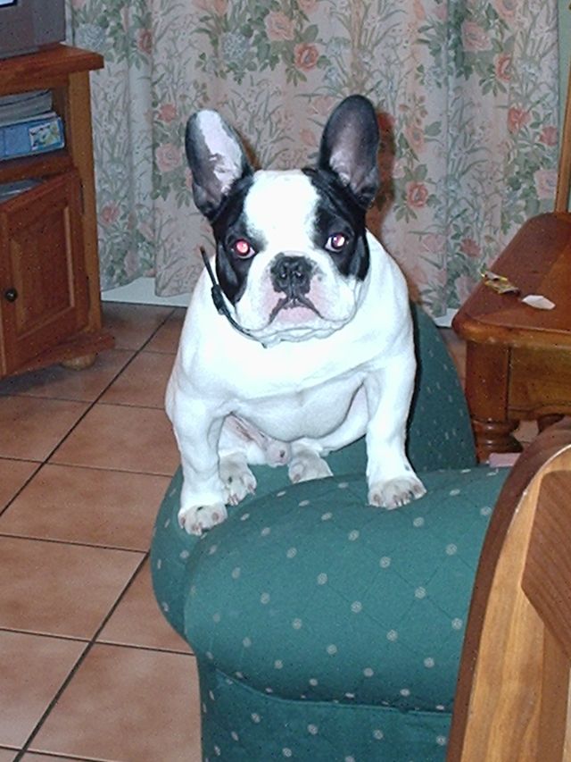 qu_est_ce_que_tu_tiens_dans_tes_mains qu_est_ce_que_tu_tiens_dans_tes_mains