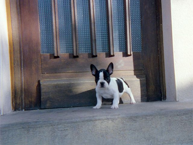 arthur_2_mois_et_demi