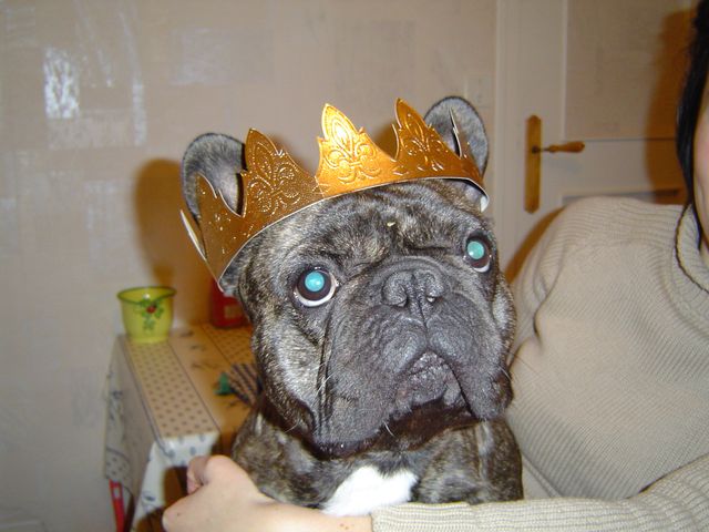 Et voici maintenant le Roi Arthus!