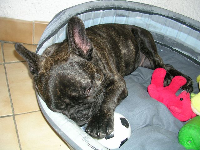 aston_fin_novembre_2006_046