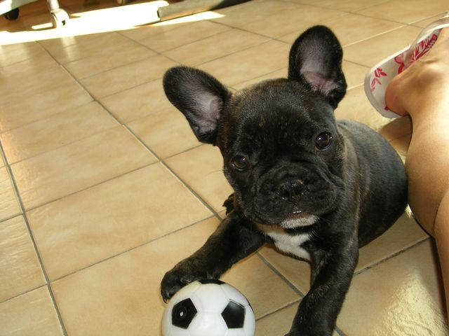 Après la partie de foot un peu de repos!!! Après la partie de foot un peu de repos!!!