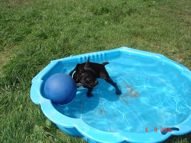 Astuce à la piscine