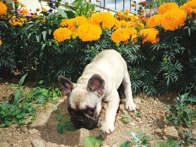 Les premières bêtises d'Athéna