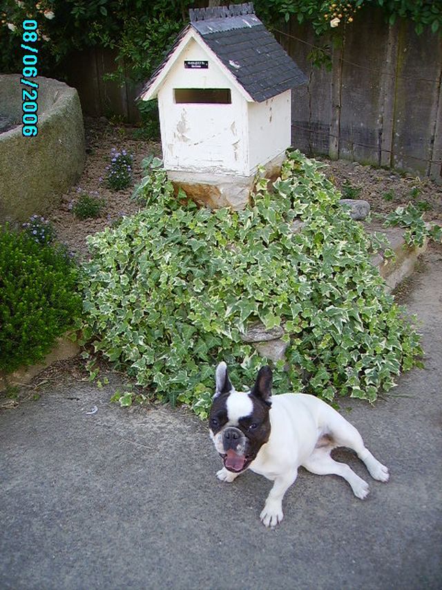 la_petite_maison_aux_lettres