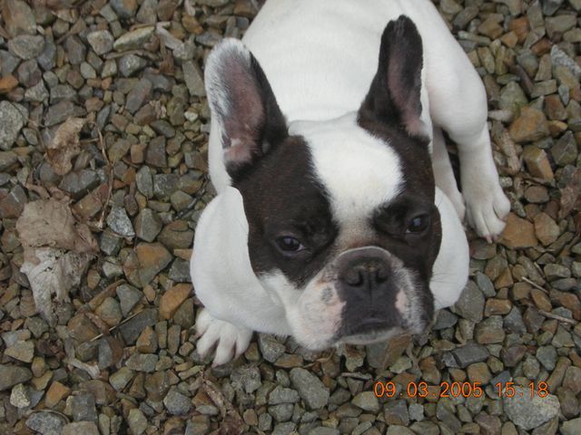 quoi_y_a_un_probleme