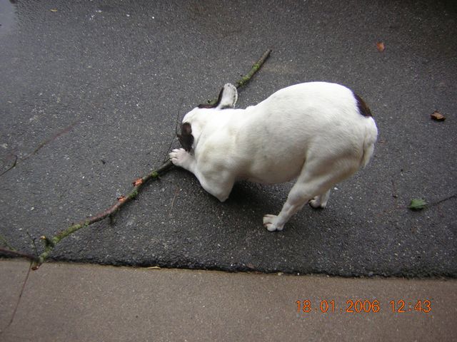 t_as_pas_honte_de_nous_montrer_ton_cul