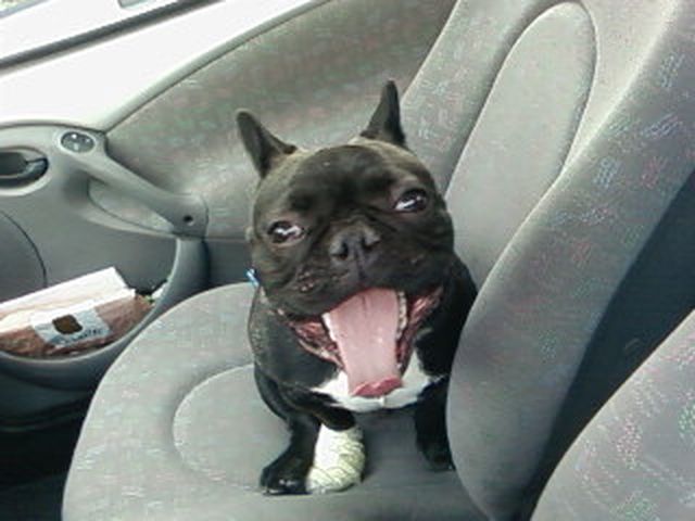 a_11_mois_en_ka_mobile