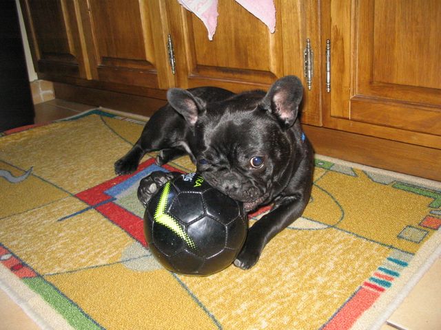 a_9_mois_la_joie_du_football a_9_mois_la_joie_du_football