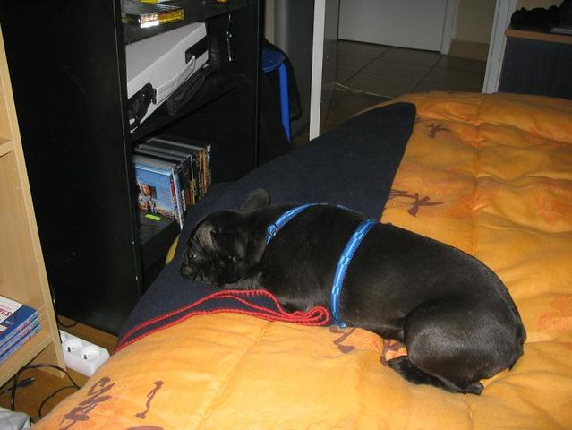 bon_je_monte_quel_dvd_regarder bon_je_monte_quel_dvd_regarder