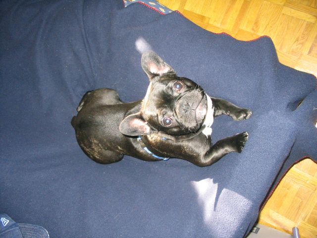 c_est_mon_canape_iiihh