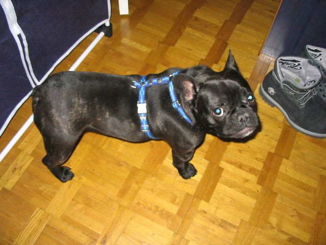 eh_oui_moi_aussi_je_peux_rire eh_oui_moi_aussi_je_peux_rire