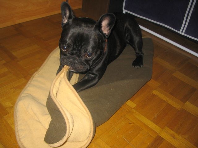 humhum_je_l_aurais_un_jour_je_l_aurais humhum_je_l_aurais_un_jour_je_l_aurais