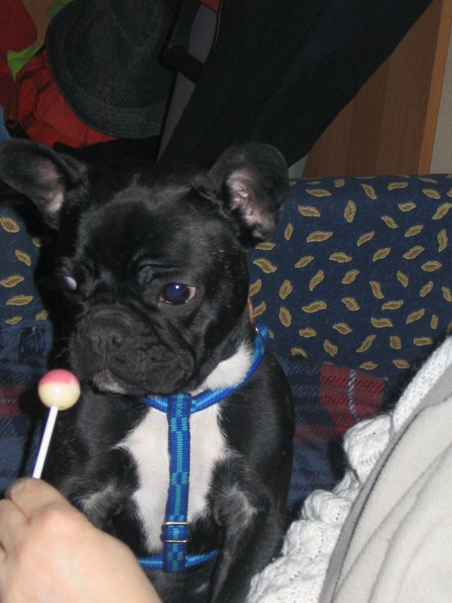 humhum_je_leche_ou_pas_la_sucette humhum_je_leche_ou_pas_la_sucette