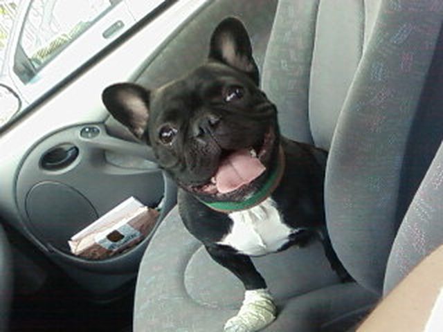 iiihh_sourire_et_soifsoif