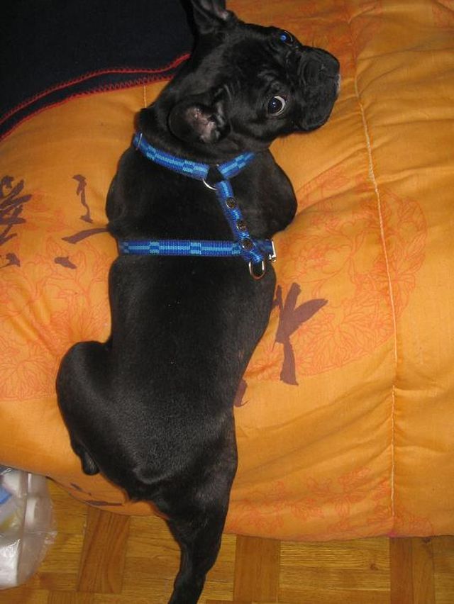 je_monte_ou_pas je_monte_ou_pas