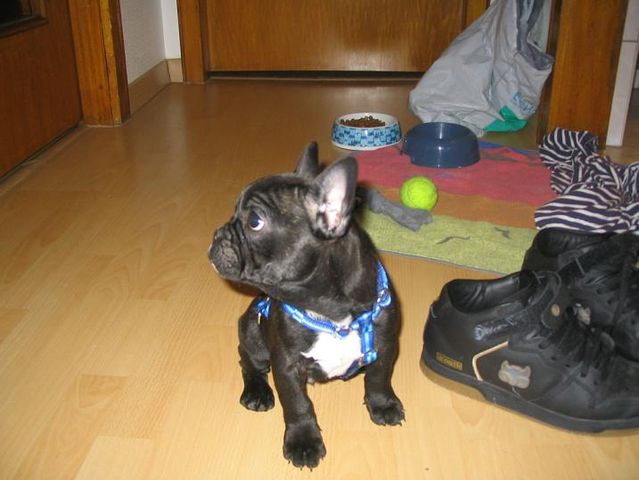 mon_1er_weekend_loin_de_mes_parents_biologiques mon_1er_weekend_loin_de_mes_parents_biologiques