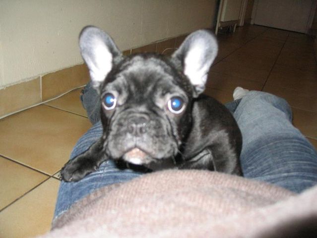 mon_premier_jour_chez_moman