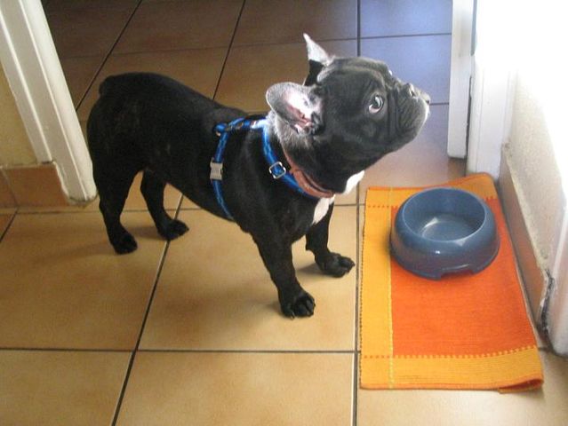 qui_qui_me_parle_mr_soleil qui_qui_me_parle_mr_soleil