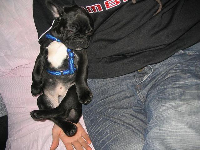 sieste_assise_sur_moman sieste_assise_sur_moman