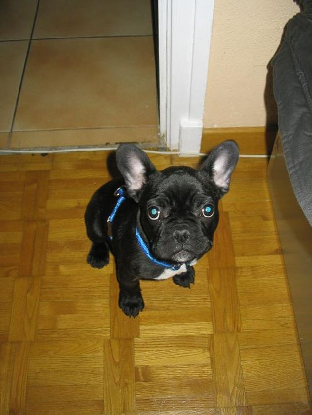 t_es_qui_toi_ah_momaaan t_es_qui_toi_ah_momaaan