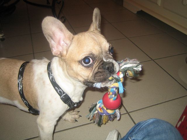 1er_jour_a_la_maison