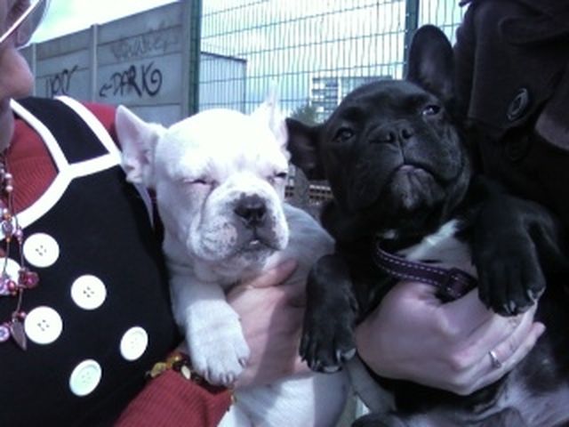 Bidule et son frère Blanco