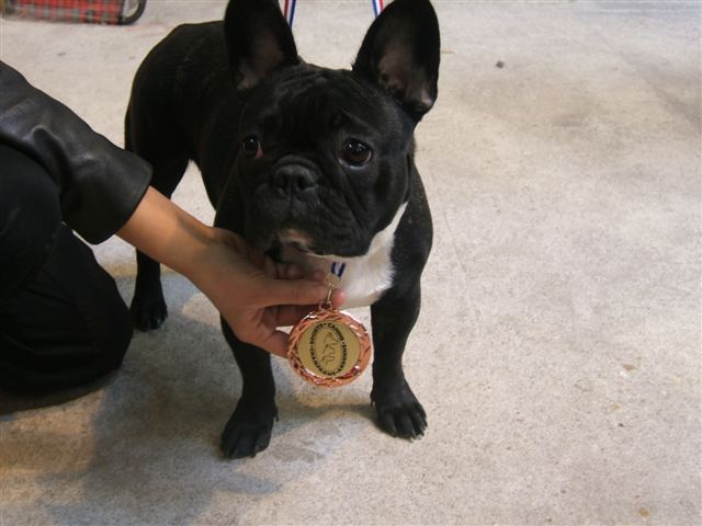 photo_1ere_expo_brehat_052