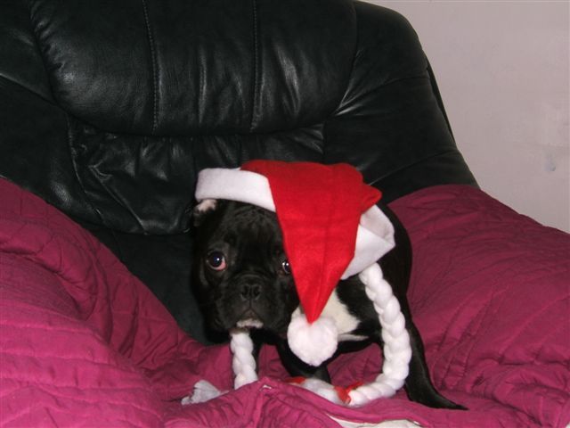 photo_brehat_446 photo_brehat_446