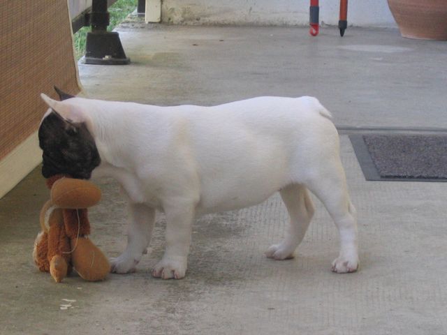 Clash découvre la vie