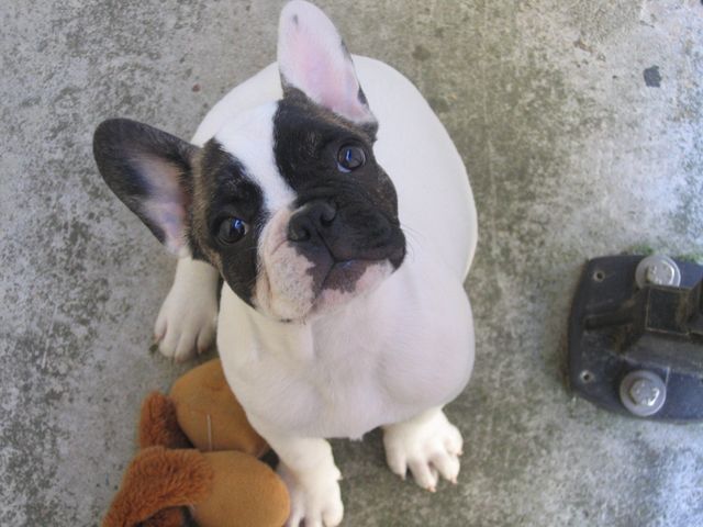 Clash découvre la vie