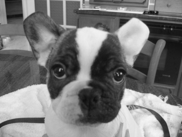 Clash découvre la vie