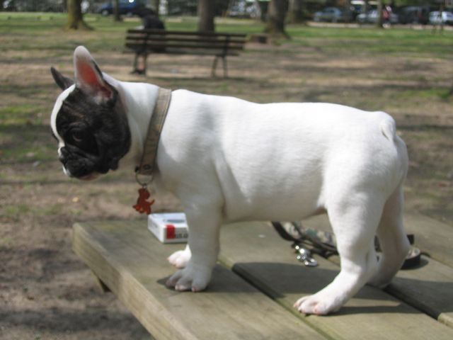 Clash découvre la vie