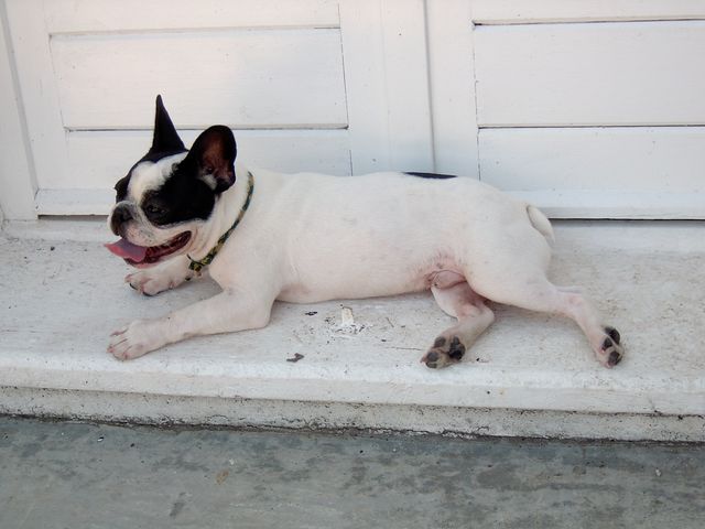 Ah lala... quelle chaleur...