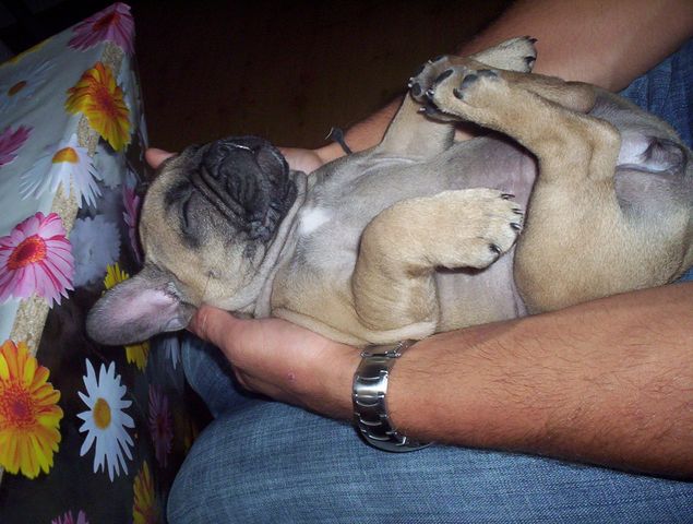 photo_466