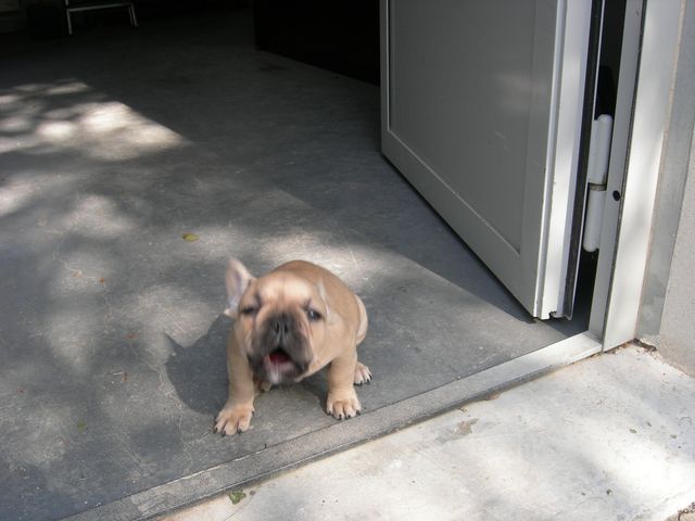 darius_111 darius_111