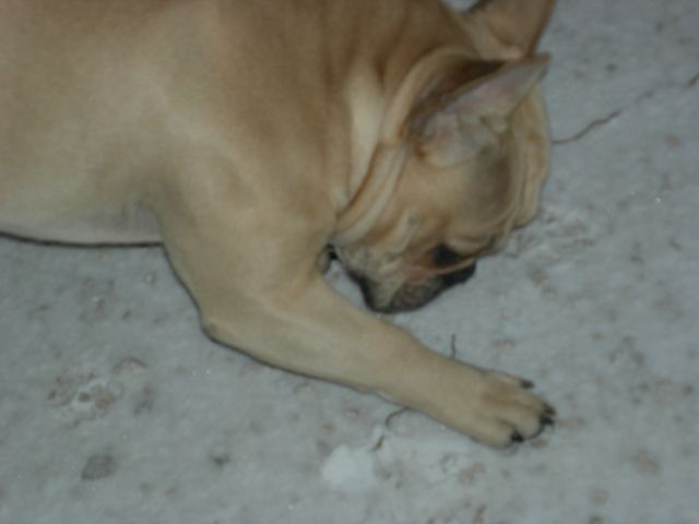 Ma première neige Ma première neige