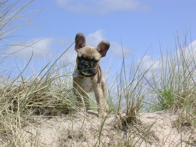La reine de la plage