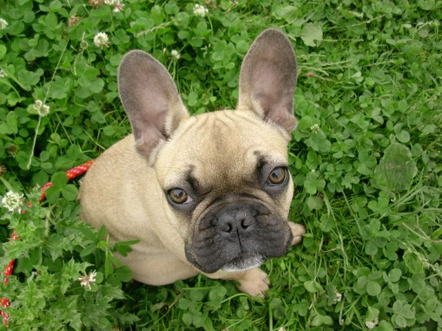 C'est qui la plus mignonne?